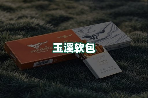 玉溪软包